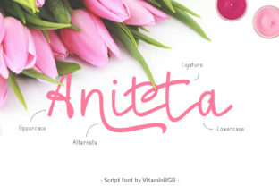 Anitta Script: A Versatile Font for Digital Design