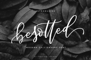 Besotted Script: A Feminine Display Font for Elegant Web Branding
