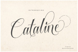 Cataline Script: A Fresh Take on Calligraphy for Modern Branding