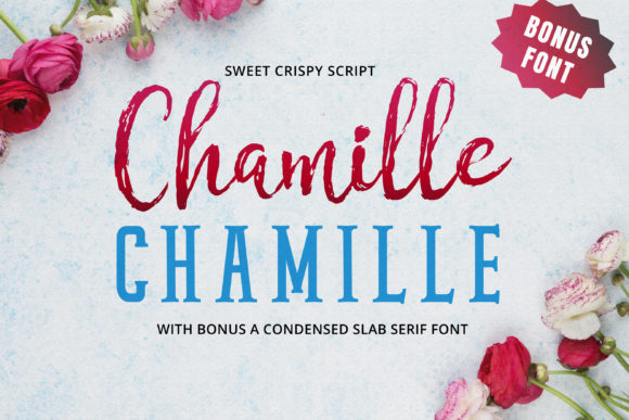 Chamille Script: A Font That Breathes Life Into Your Creations
