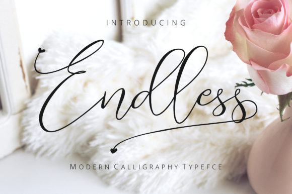 Endless Script: A Modern Font for Digital Branding and Web Design