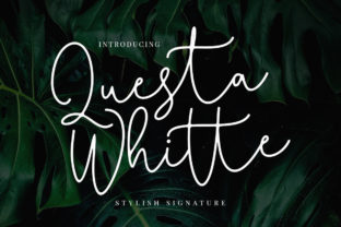 Questa Whitte Script: A Font That Breathes Life Into Your Creations
